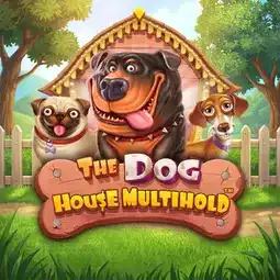 The Dog House Multihold game at Wild Fortune Casino for Australian players